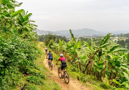 IZIDOK in Rwanda: Exclusief fietsavontuur en topwetenschap verenigd (16/1-24/1/2027)