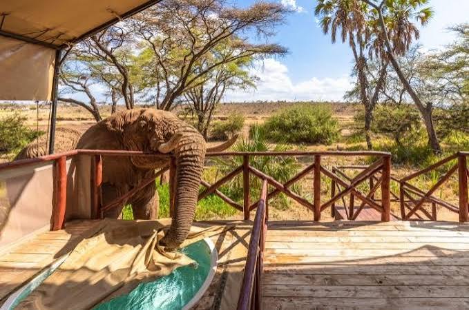 IZIDOK in Kenia | Samburu & Namunyak