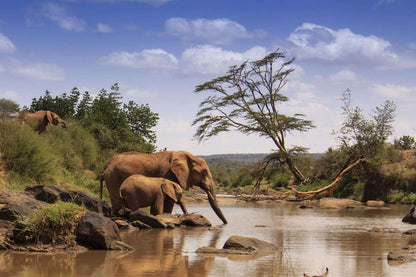 IZIDOK in Kenia | Samburu & Namunyak